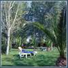 Alkyon Resort Hotel 